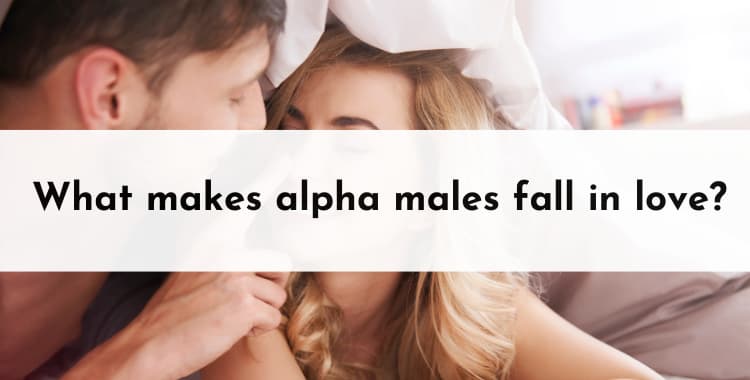 What makes alpha males fall in love